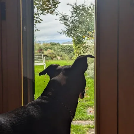 Sul Trasimeno Сasa de vacaciones
