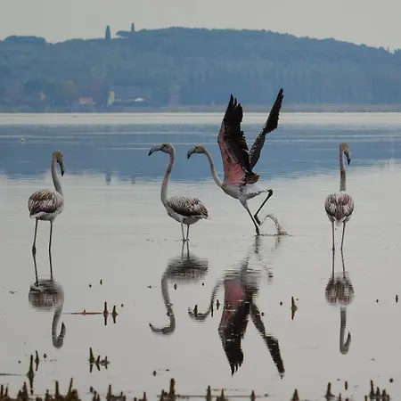 Sul Trasimeno SantʼArcangelo